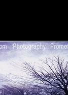 CREATIVE PHOTOGRAPHY
